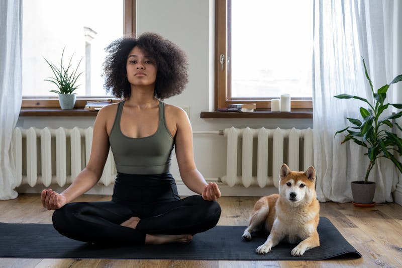 Woman with an afro meditating cross-legged on a yoga mat beside a Shiba Inu dog in a bright living room